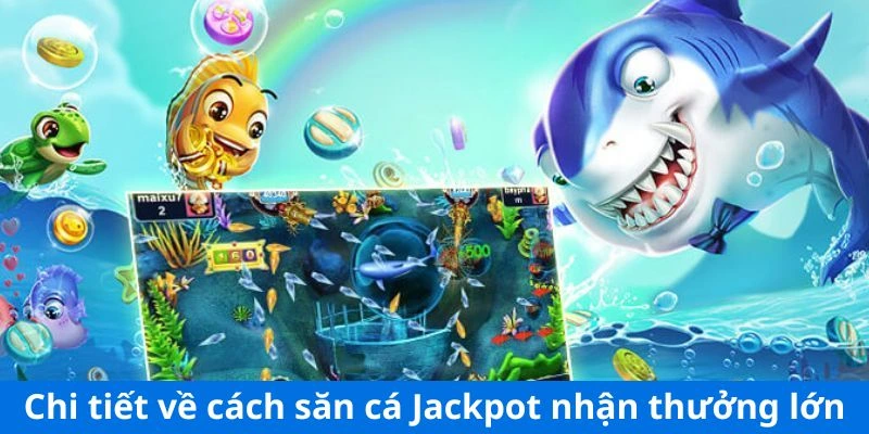 Chi tiết về cách săn cá Jackpot nhận thưởng lớn