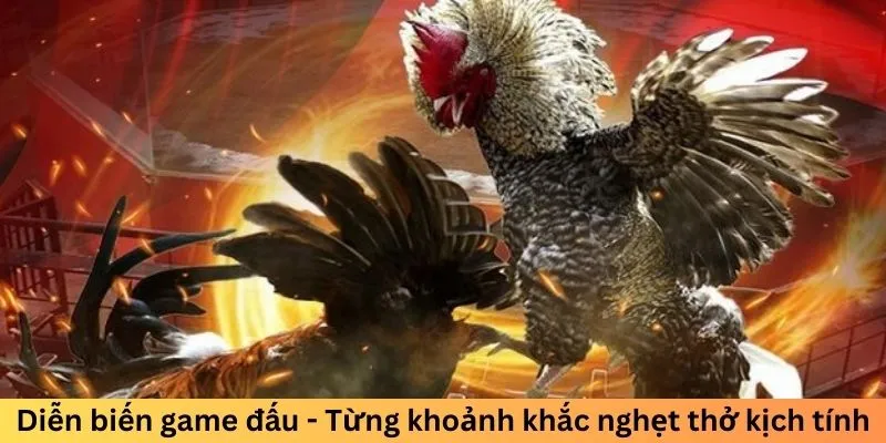 Diễn biến game đấu - Từng khoảnh khắc nghẹt thở kịch tính