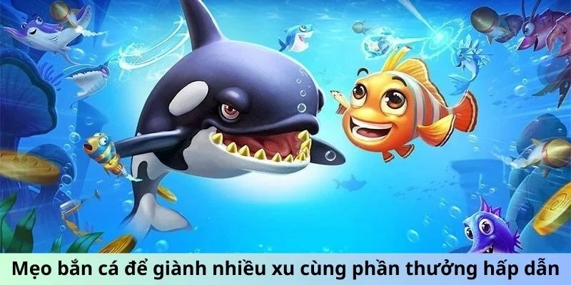 Mẹo bắn cá để giành nhiều xu cùng phần thưởng hấp dẫn