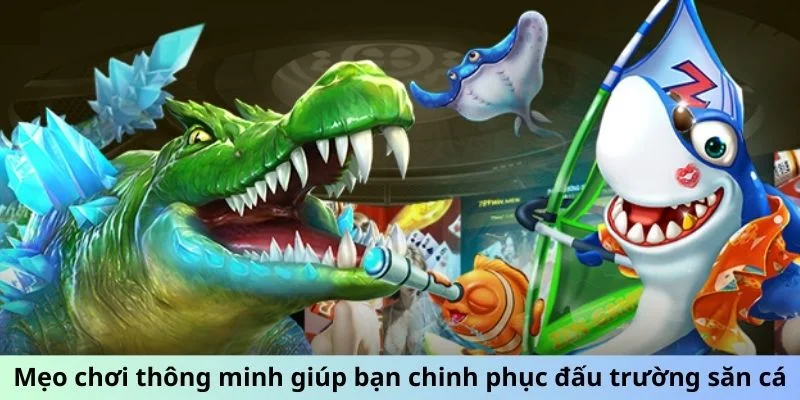 Mẹo chơi thông minh giúp bạn chinh phục đấu trường săn cá