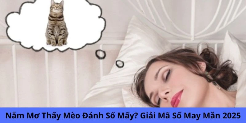 Nằm mơ thấy mèo đánh số mấy mang lại vận may